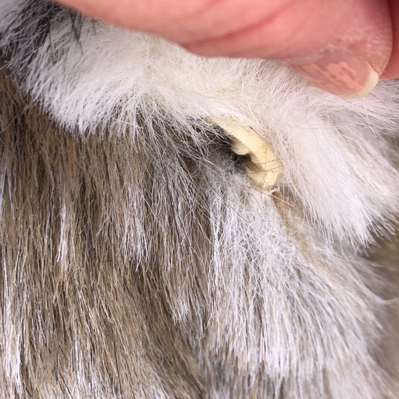 Faux Fur Coat, Size SP - Picture 7 of 8